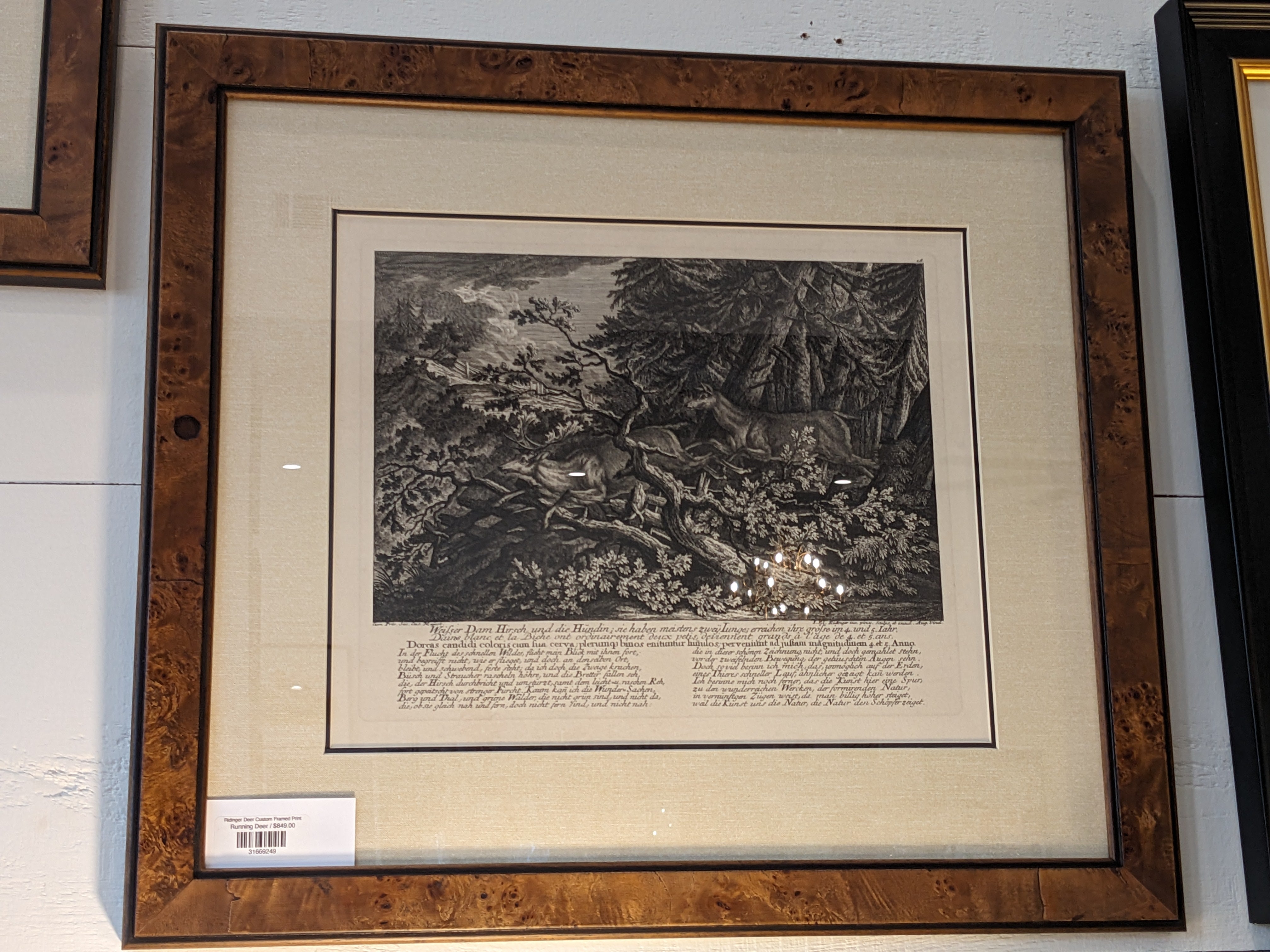 Ridinger Deer Custom Framed Print