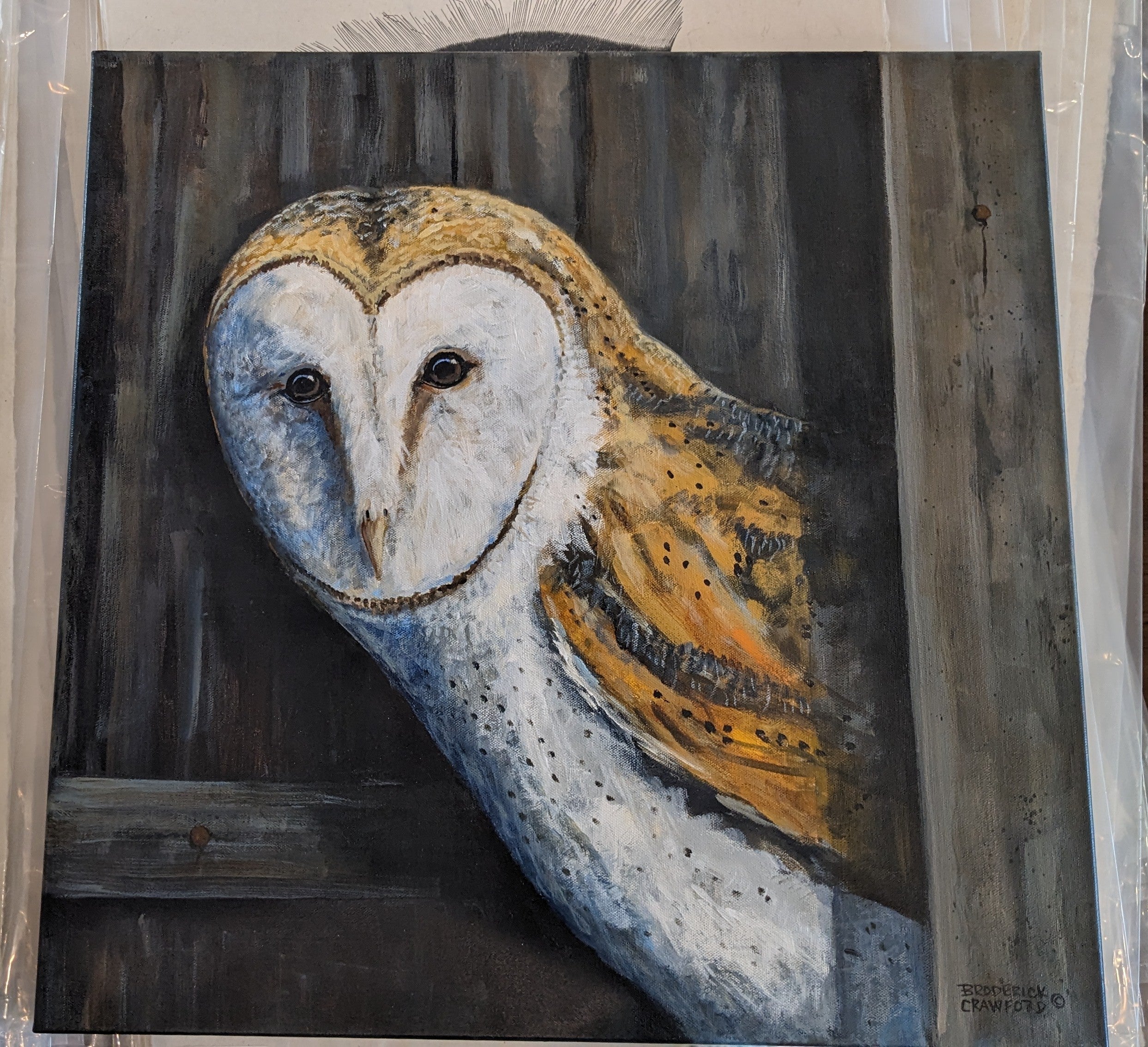 Barn Owl Painting by Broderick Crawford