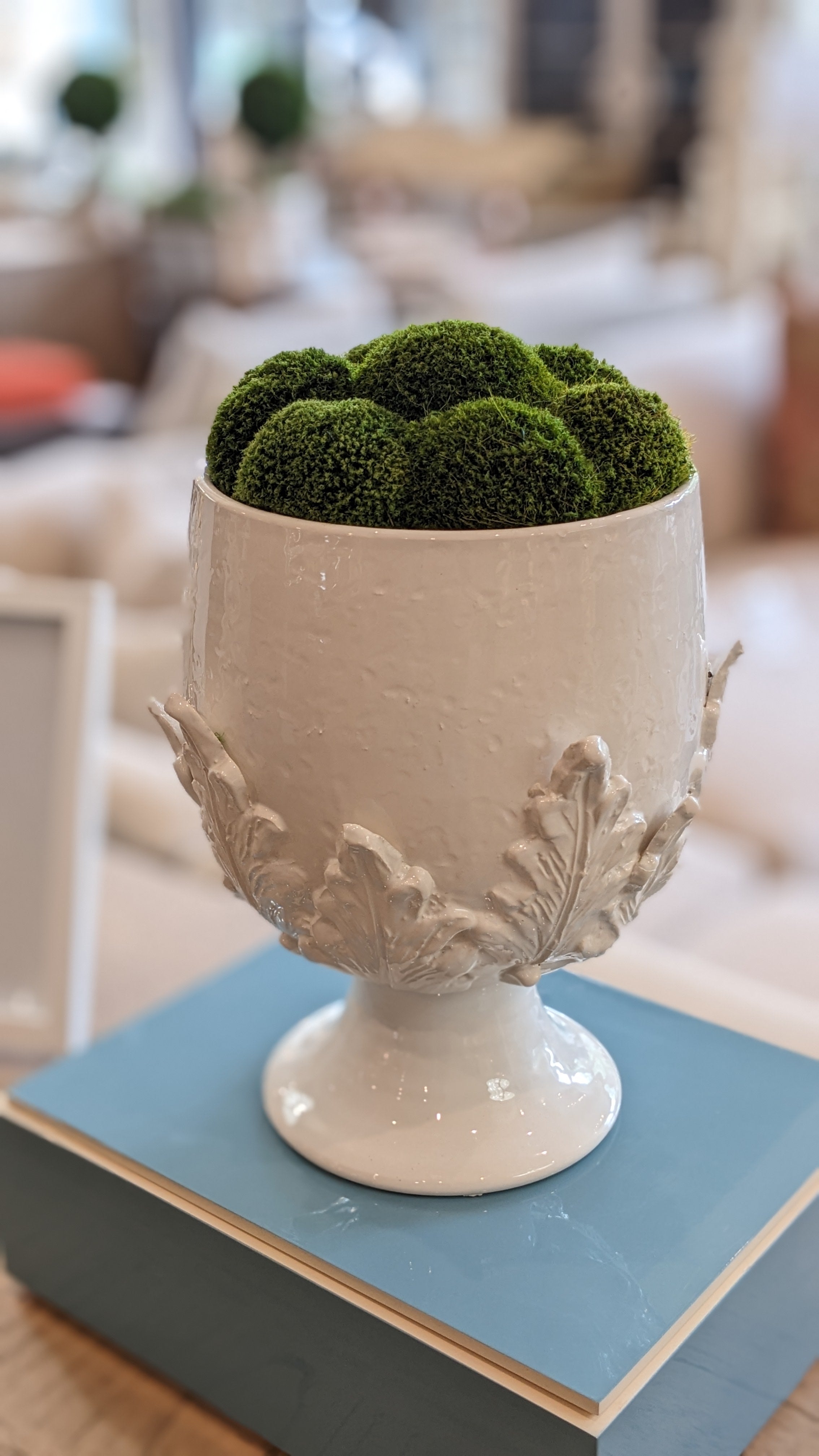 Moss Ball Cachepot Dried Arrangement