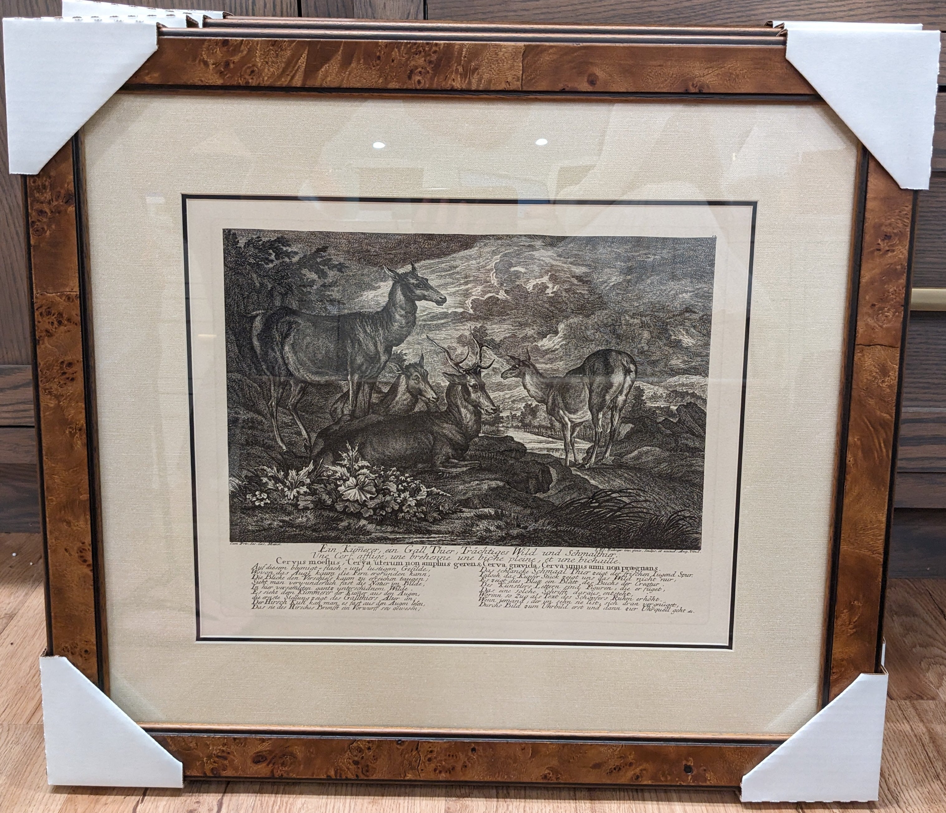 Ridinger Deer Custom Framed Print