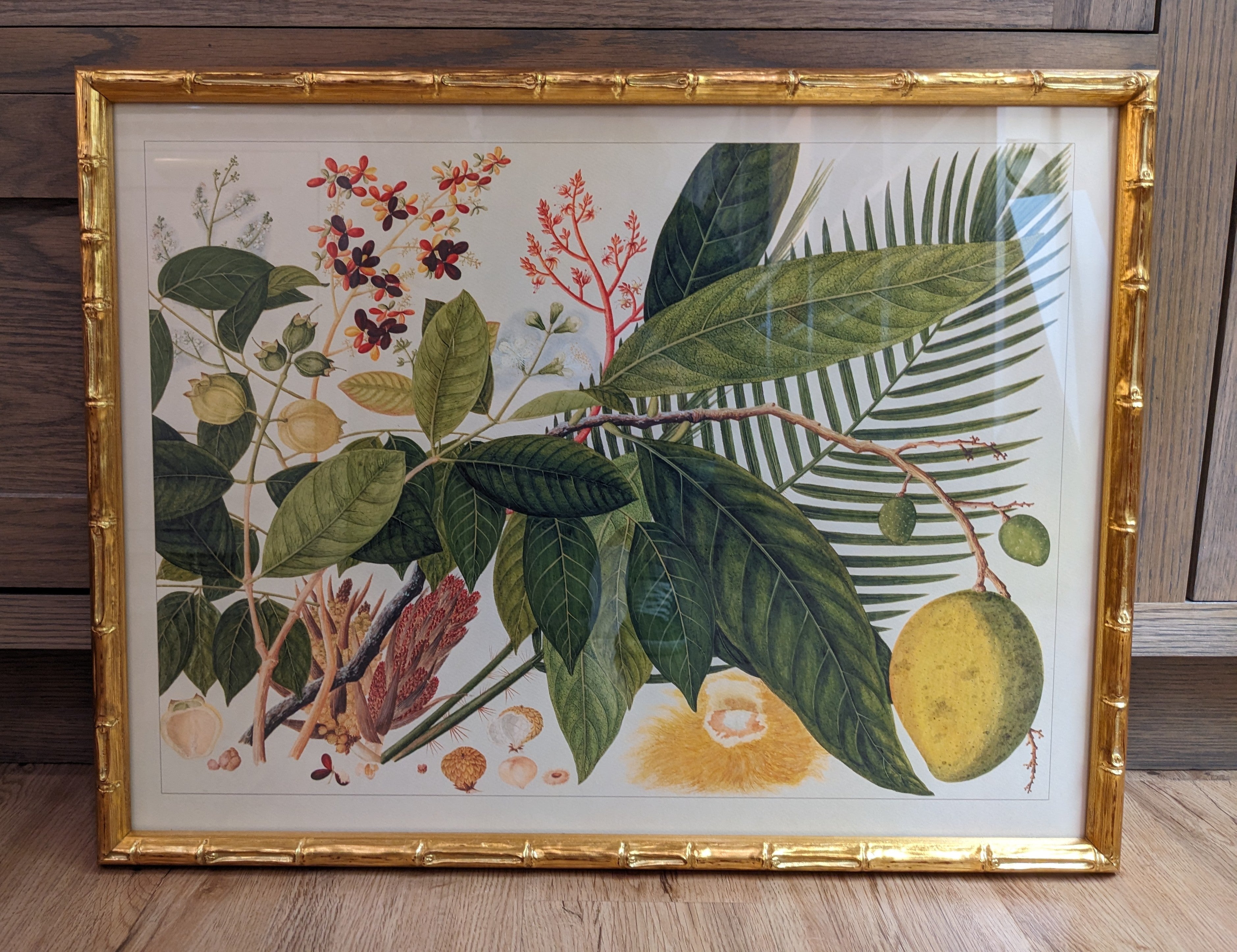 Andalas Gold Bamboo Framed Print