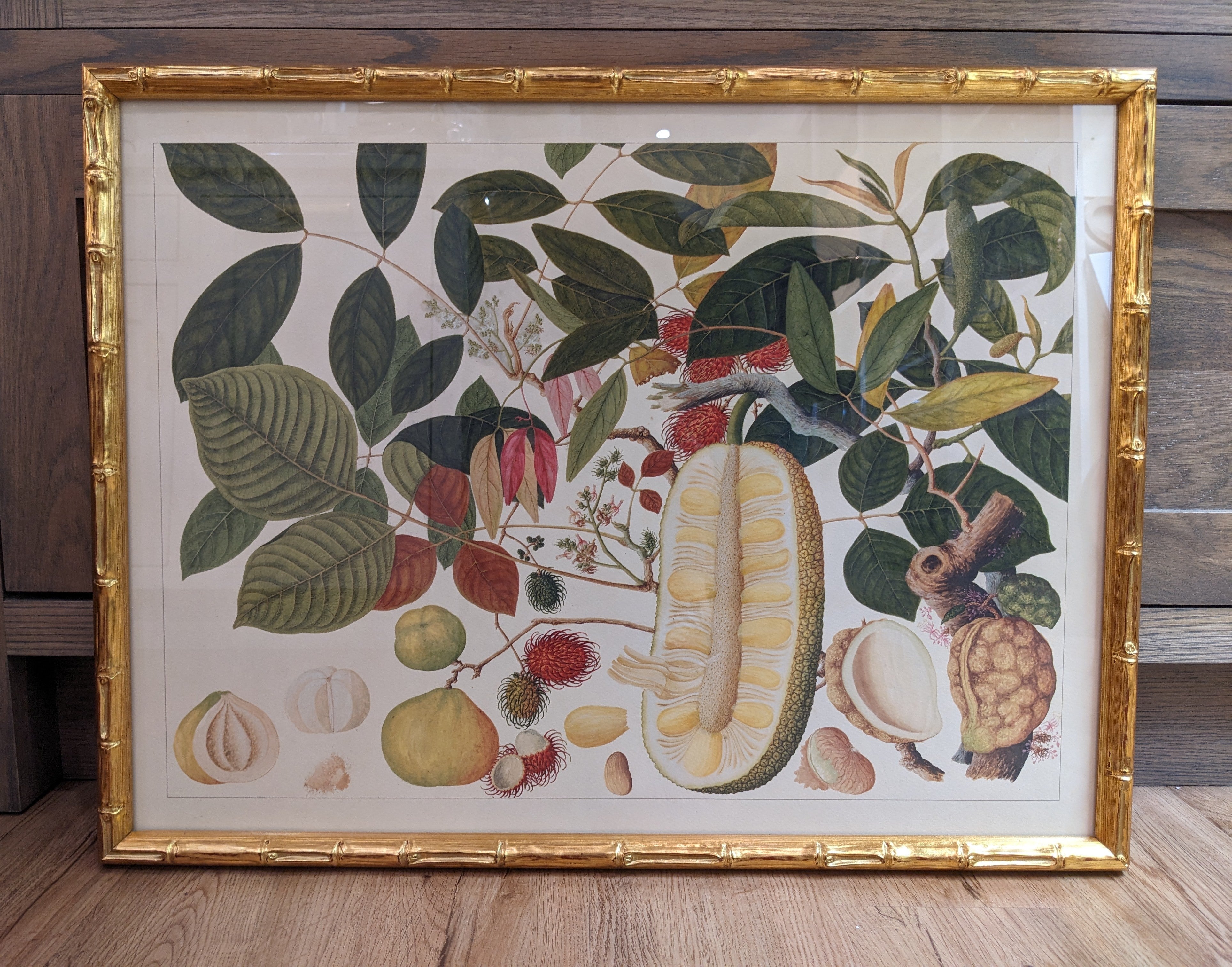 Andalas Gold Bamboo Framed Print