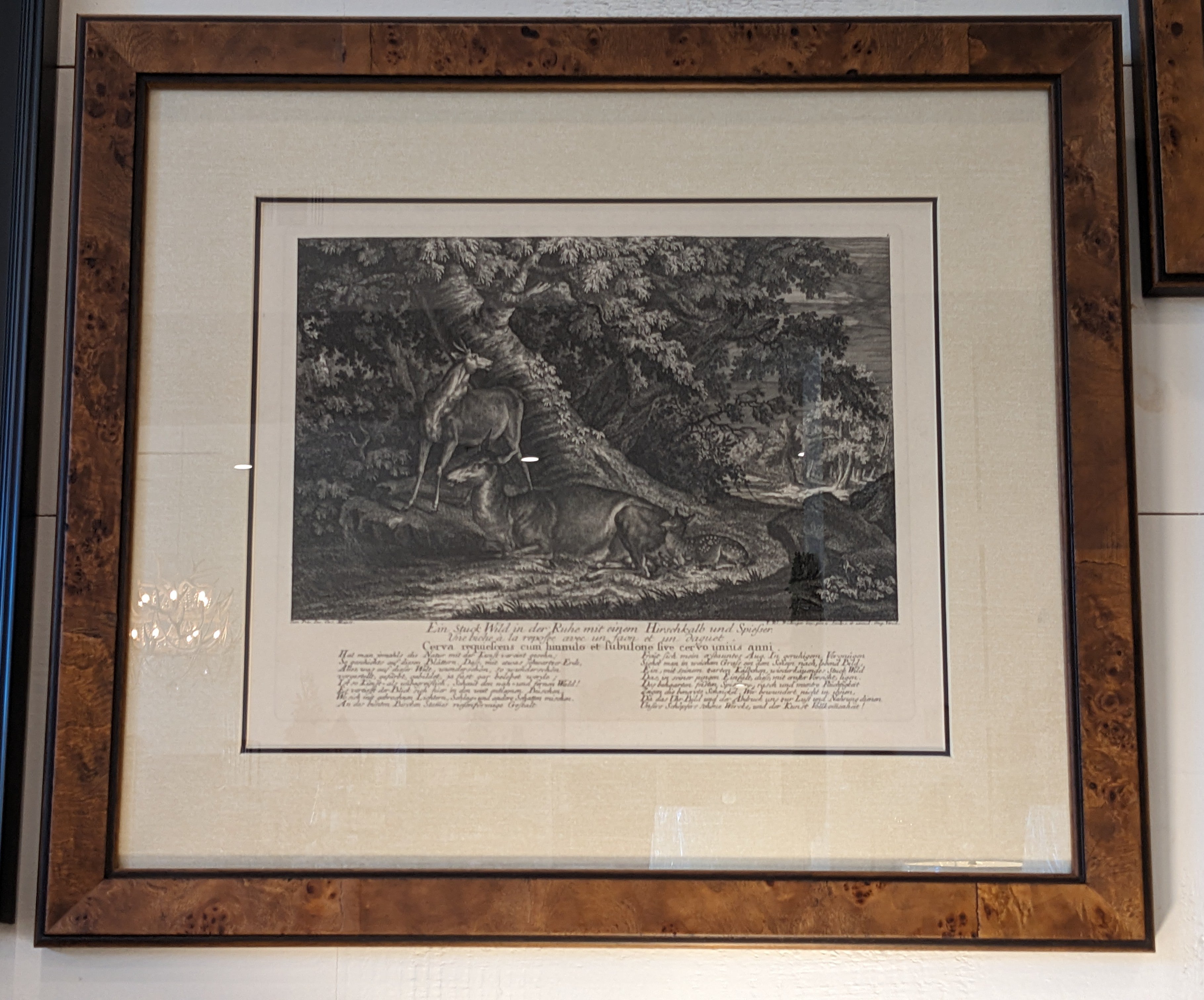 Ridinger Deer Custom Framed Print