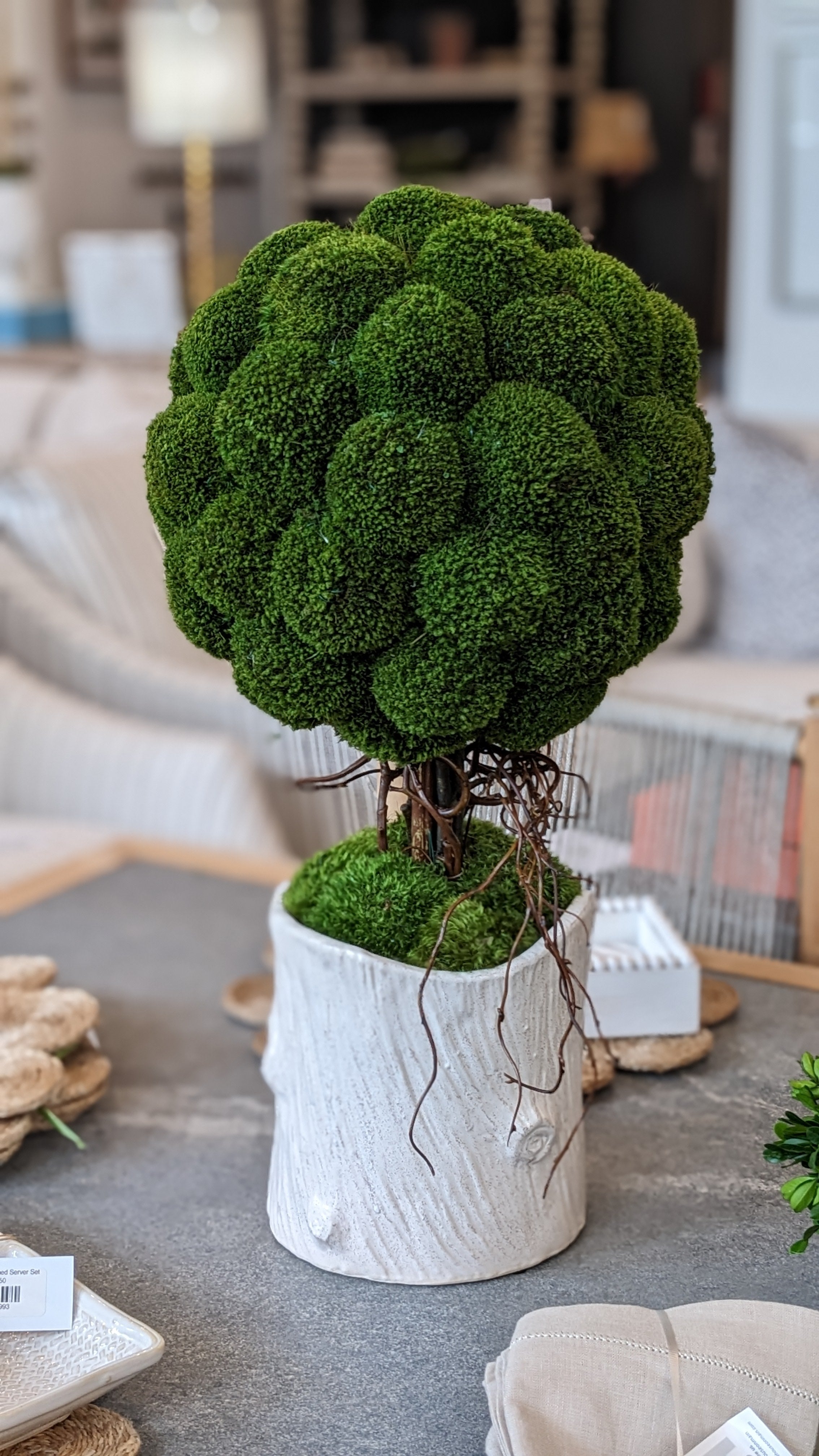 Moss Topiary Dried Arrangement - Set of 2