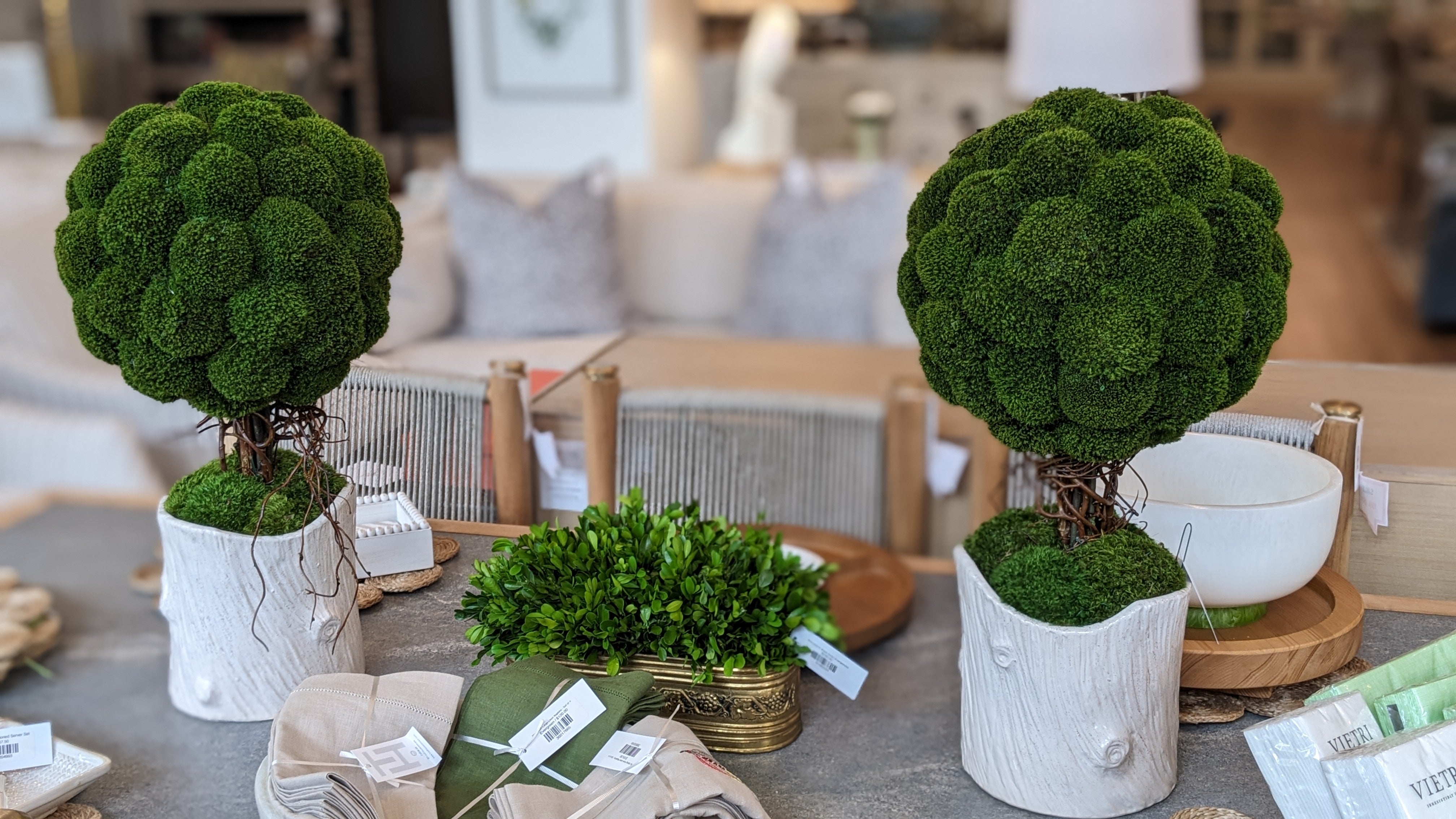 Moss Topiary Dried Arrangement - Set of 2