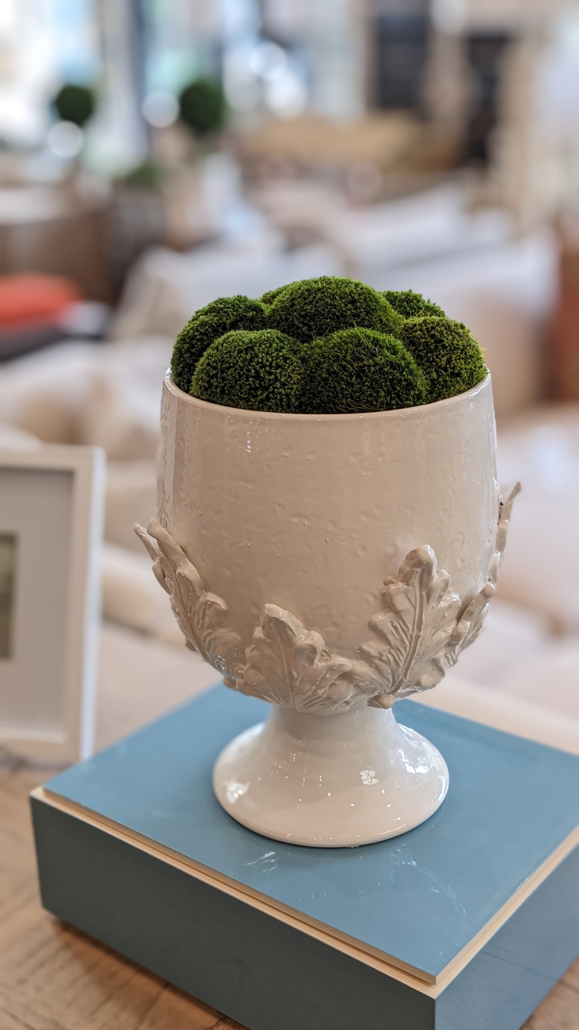 Moss Ball Cachepot Dried Arrangement