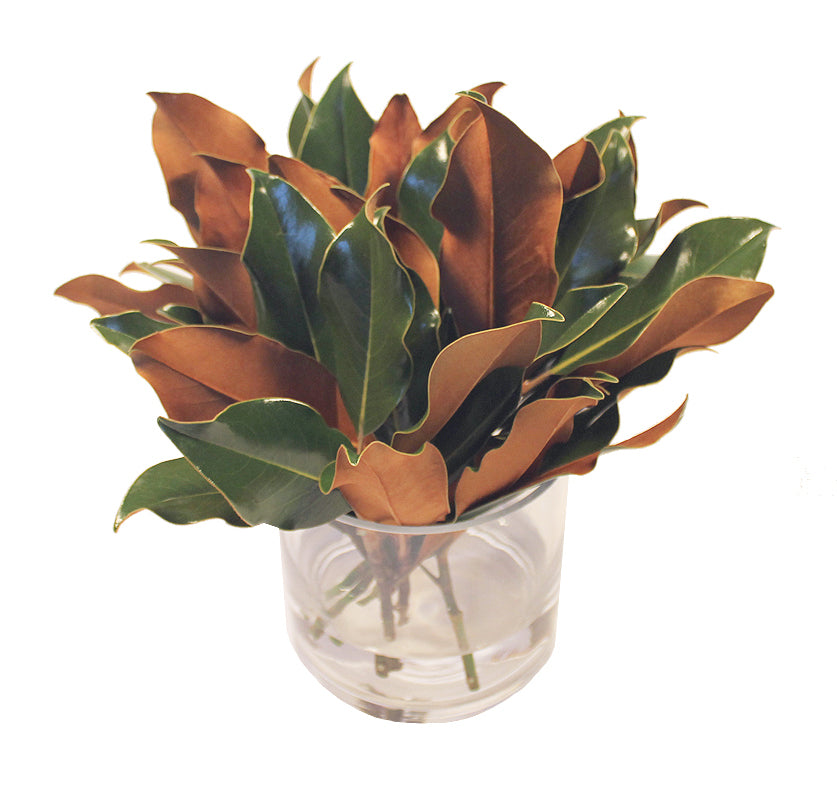 Dried Magnolia Bouquet