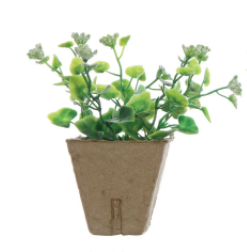 Faux Plant - 6 styles