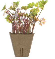 Faux Plant - 6 styles