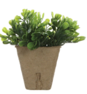 Faux Plant - 6 styles