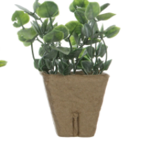 Faux Plant - 6 styles