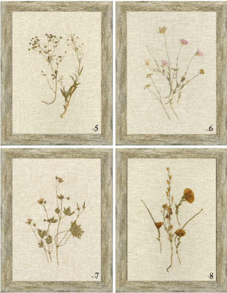 Linen Botanicals Framed Art - Final Sale 25% off
