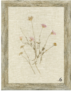Linen Botanicals Framed Art - Final Sale 25% off