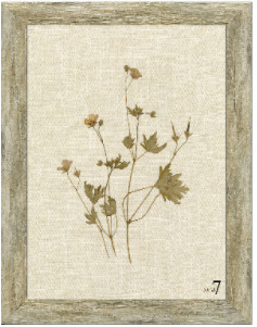 Linen Botanicals Framed Art - Final Sale 25% off