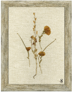 Linen Botanicals Framed Art - Final Sale 25% off