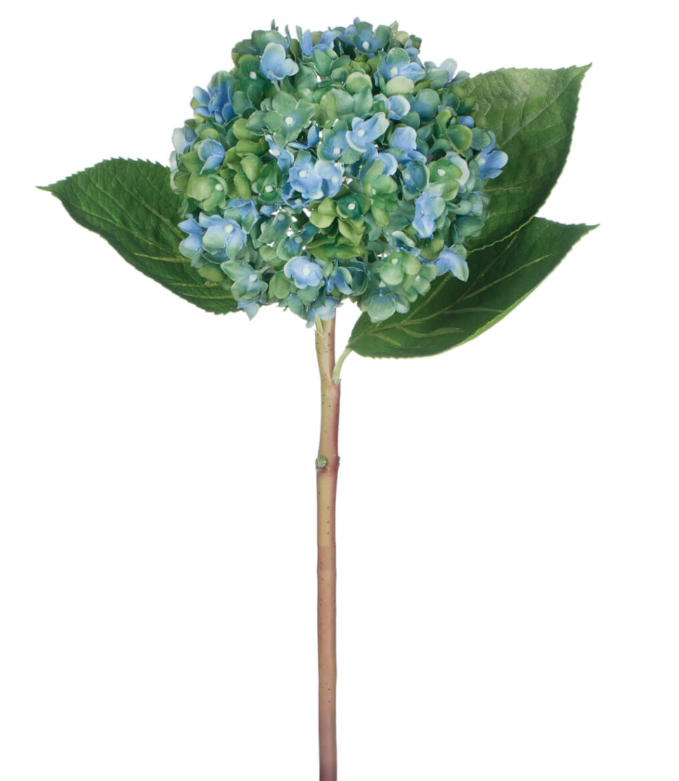 The Perfect Hydrangea Stem