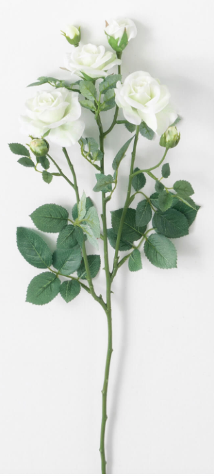 REAL GARDEN ROSE STEM