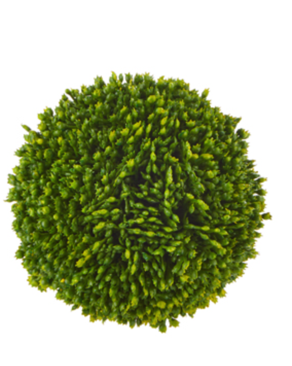 4" SEDUM BALL