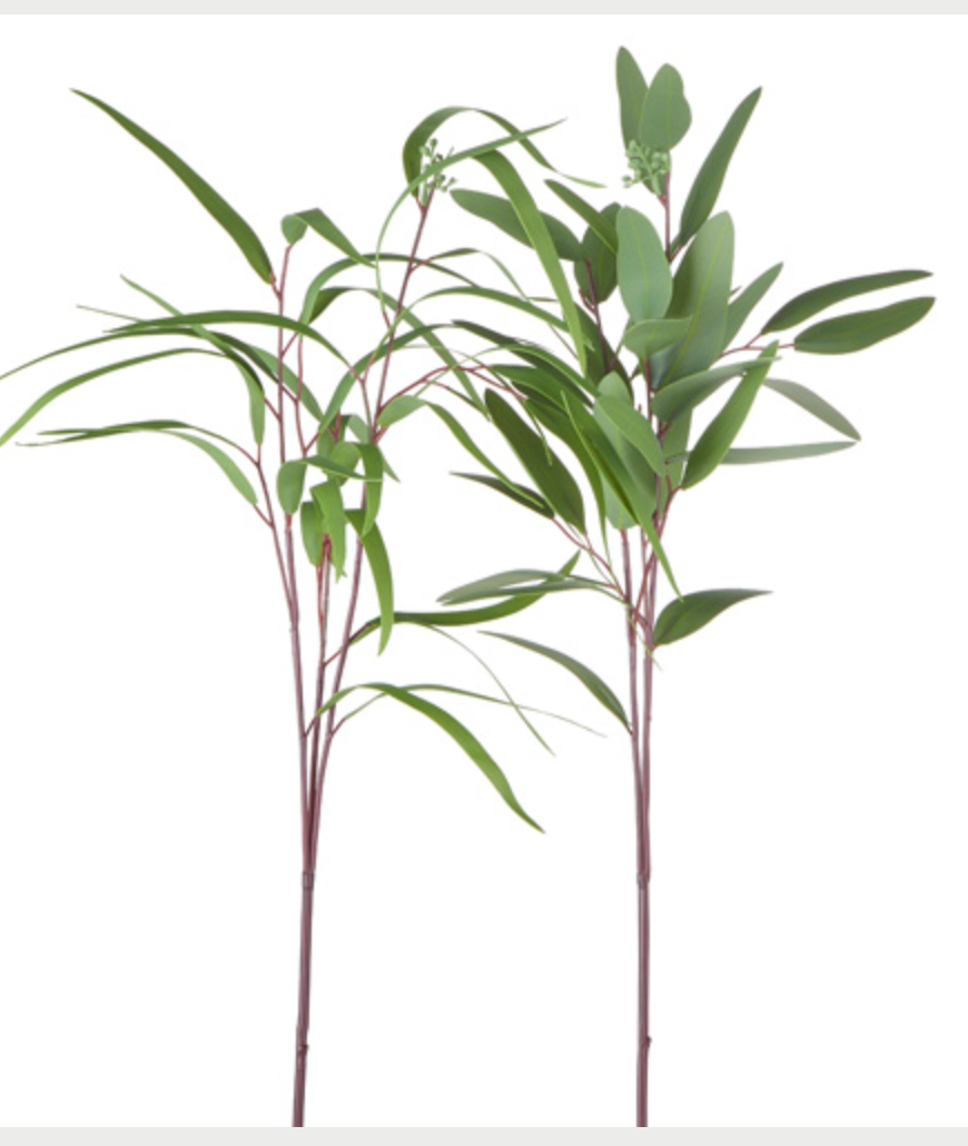 EUCALYPTUS SPRAY