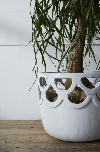Lattice Pot