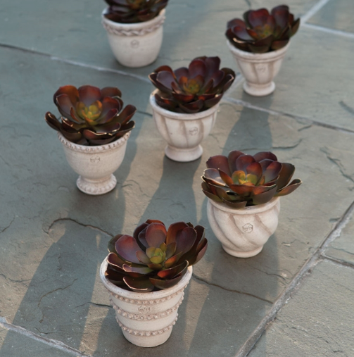 Wakefield Handmade Mini Pot
