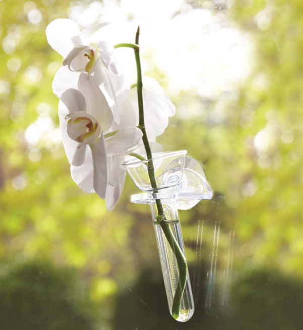 Wall Flowers Hanging Vase