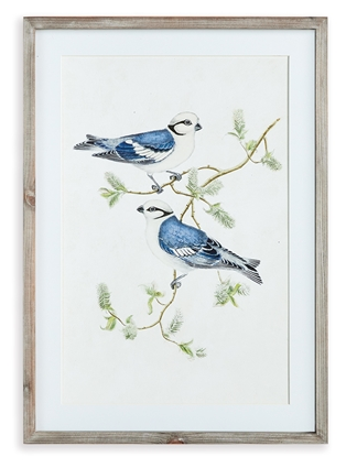 Blue Bird Framed Print