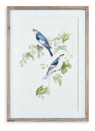 Blue Bird Framed Print