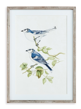 Blue Bird Framed Print