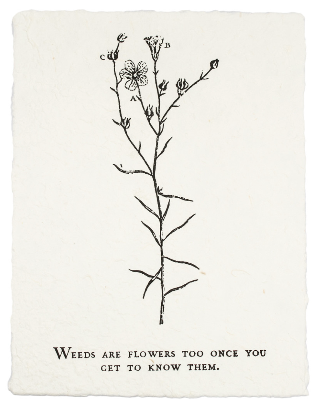 Handmade Paper Print