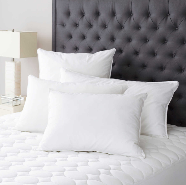 Mantra Down Alternative Pillow Insert