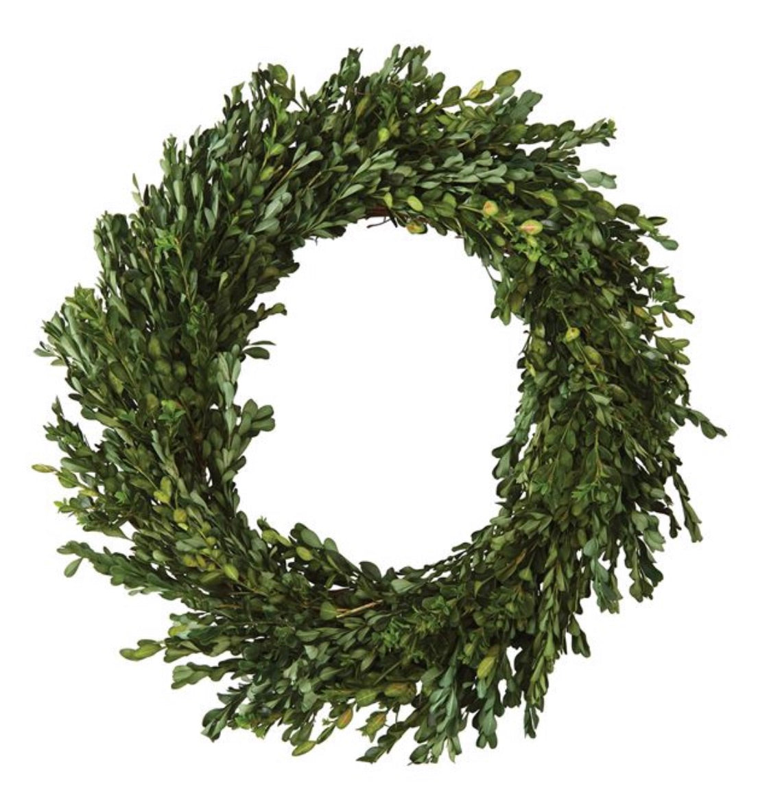 Boxwood Wreath