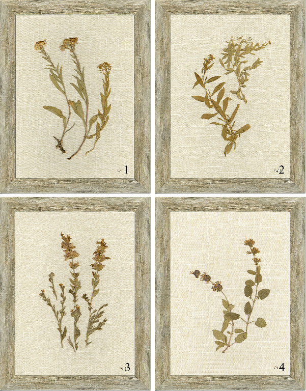 Linen Botanicals Framed Art - Final Sale 25% off