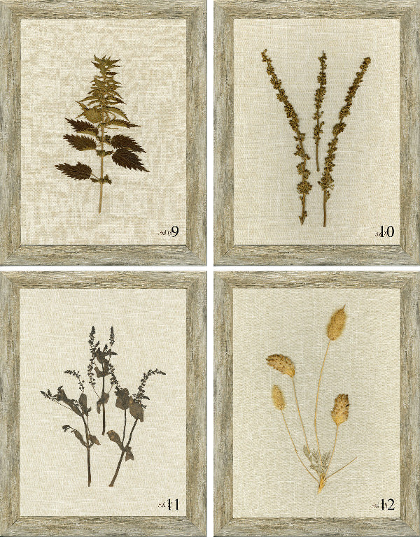 Linen Botanicals Framed Art - Final Sale 25% off