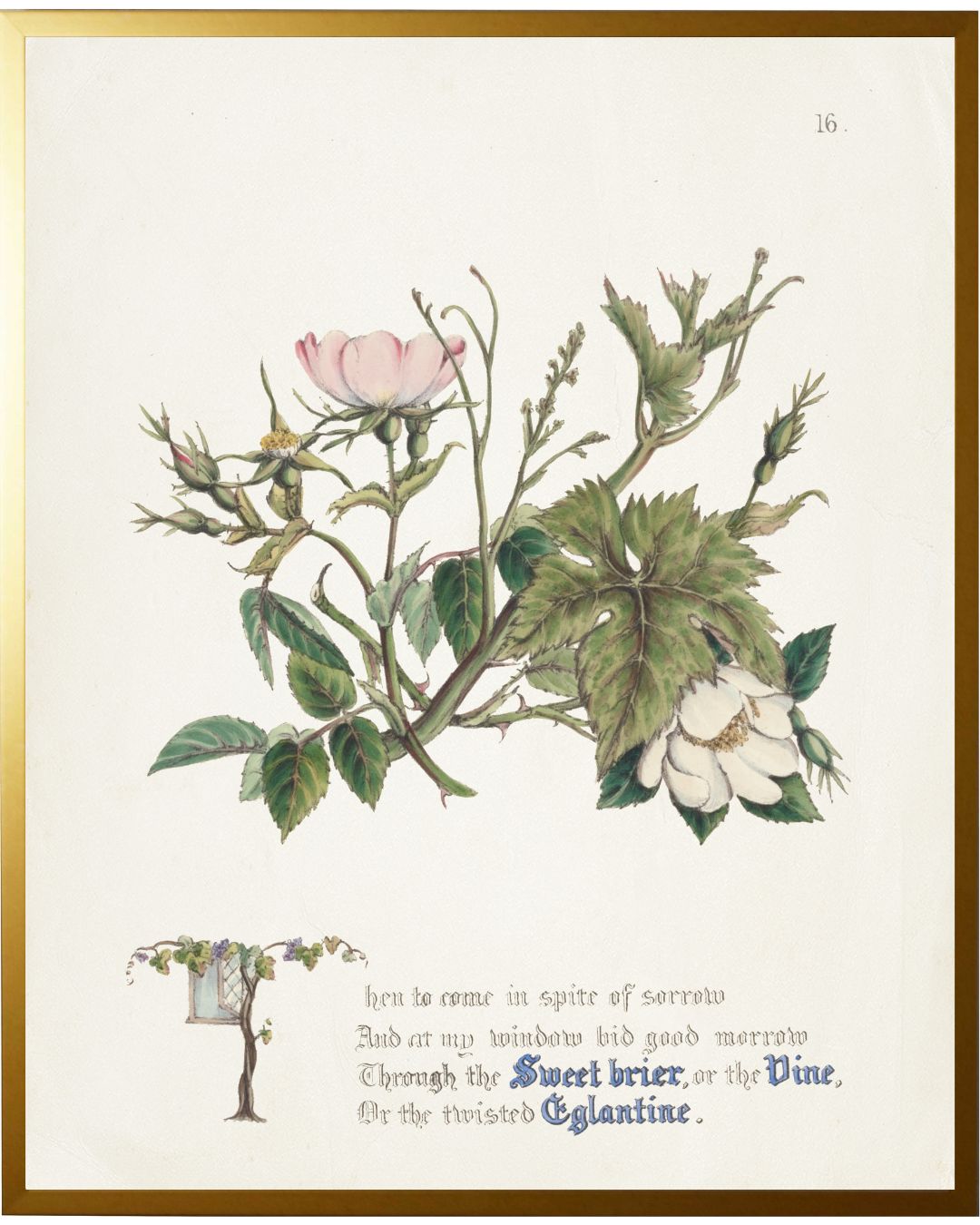 Vintage Floral Bookplate Framed Print