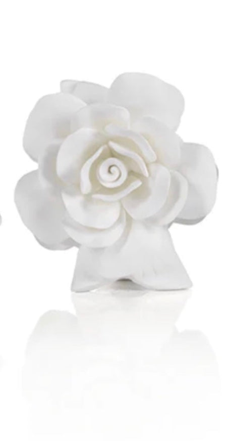 Cameo Porcelain Vases