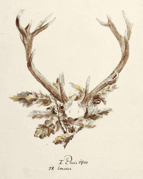 Antler 1895 Framed Print Collection