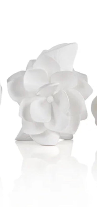 Cameo Porcelain Vases