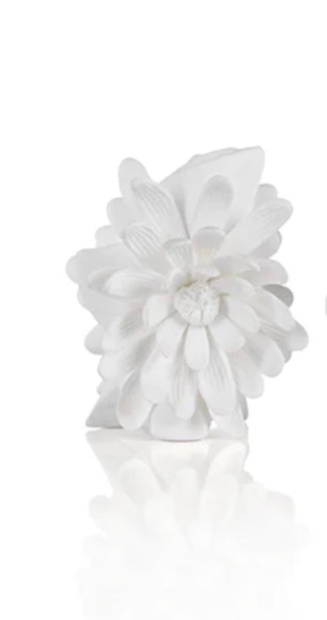 Cameo Porcelain Vases