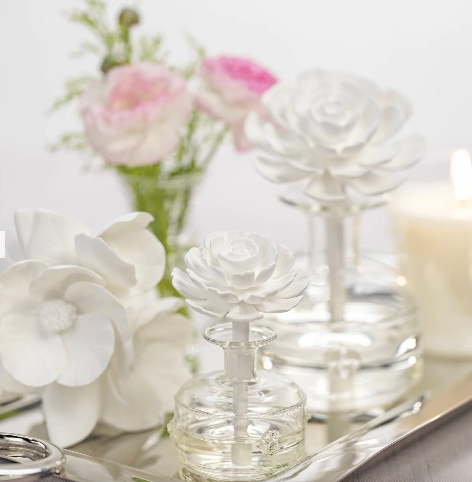 Cameo Porcelain Vases