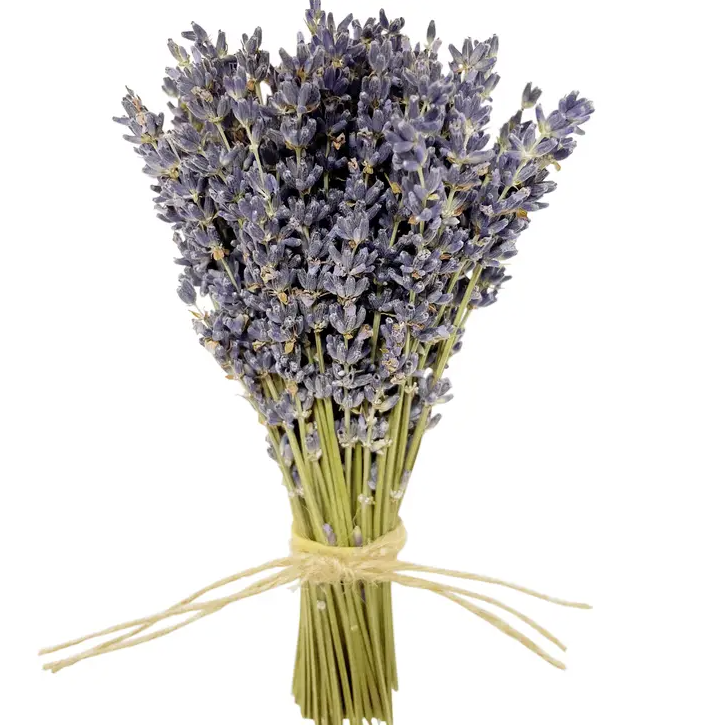 Mini French Lavender Bundle