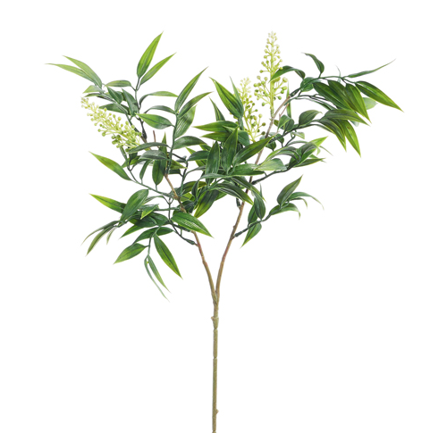Willow Branch