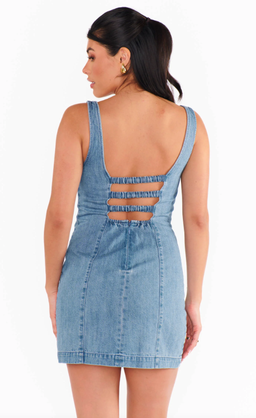 Show Me Your Mumu Steph Mini Dress