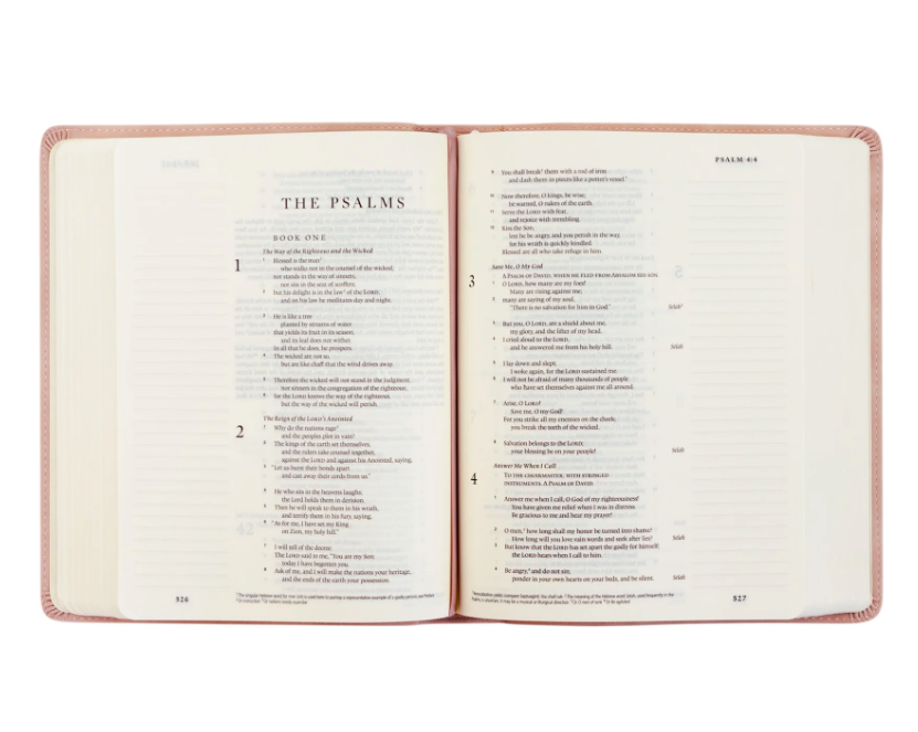 Hosanna Revival ESV Journaling Bible - Shiloh