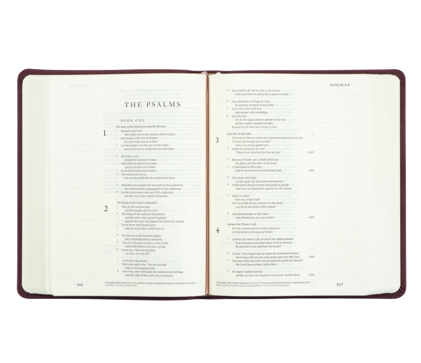 Hosanna Revival ESV Journaling Bible - Helena