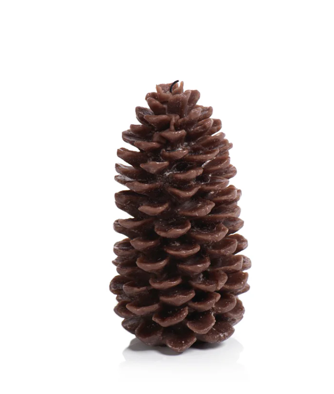 Pine Cone Candle