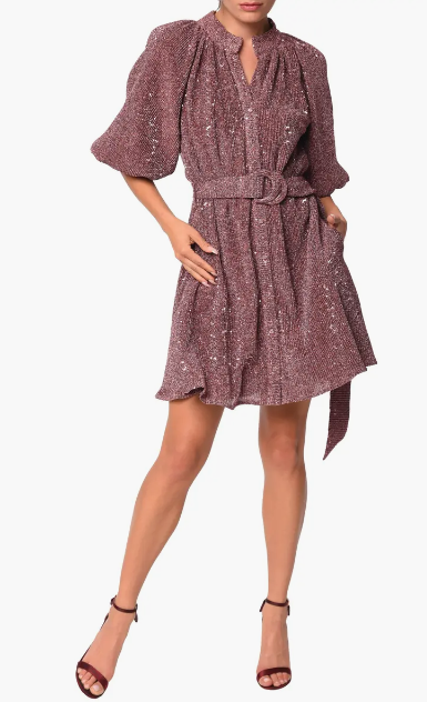 Aniston Sequin Belted Mini Shirt Dress