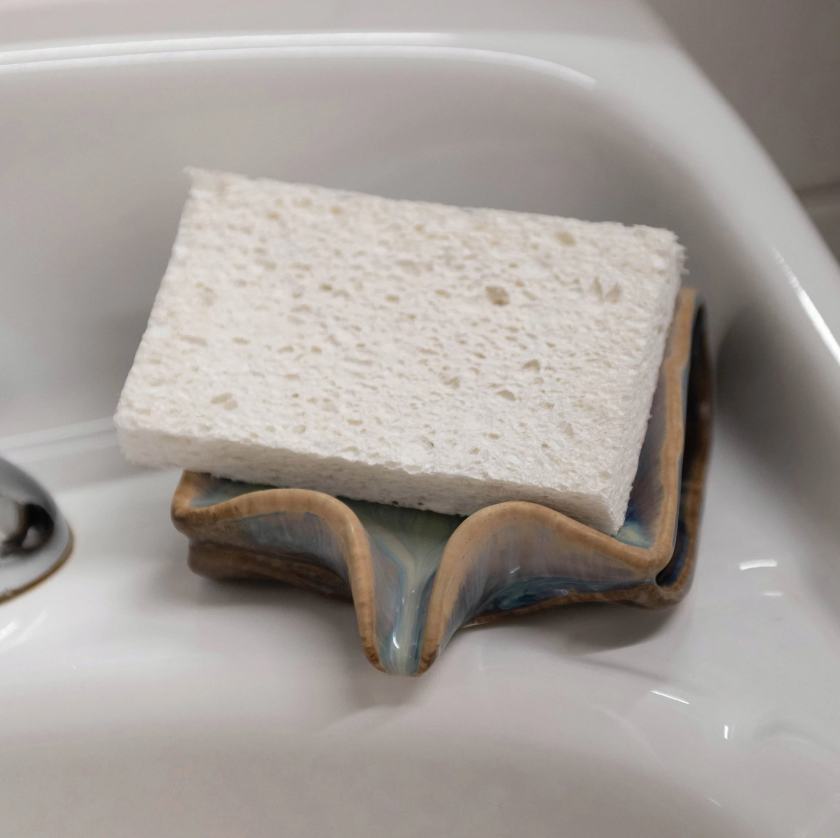 Sponge & Soap Dish with Drip Spout