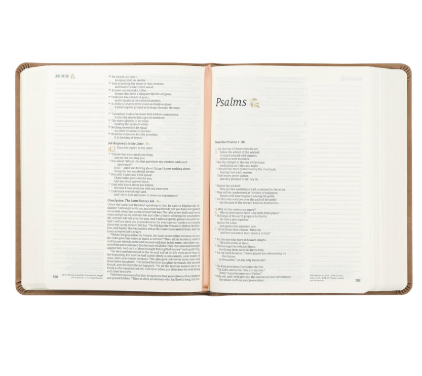 Hosanna Revival NLT Notetaking Bible - Galilee