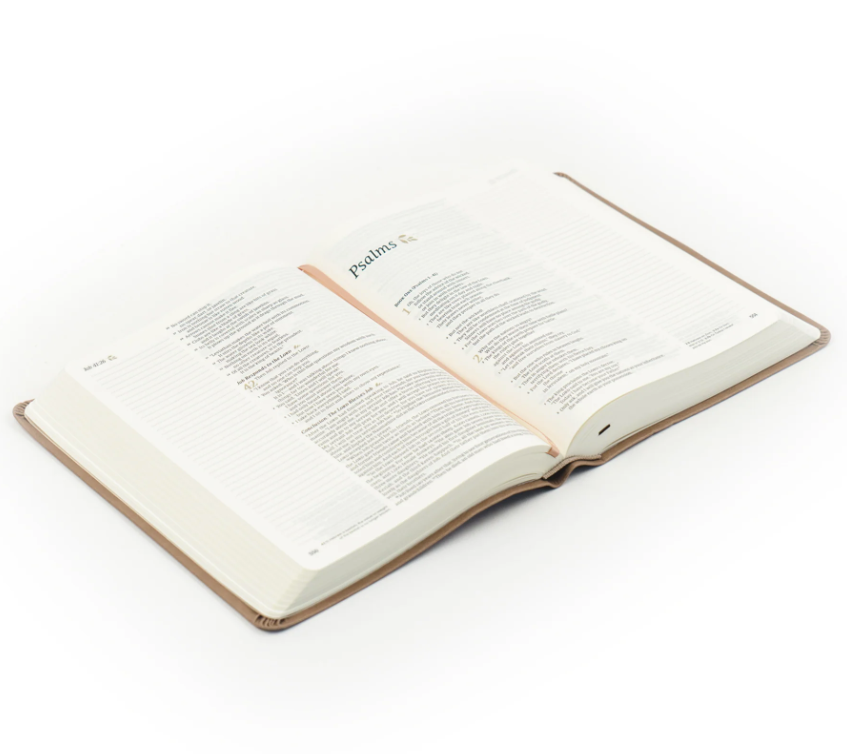 Hosanna Revival NLT Notetaking Bible - Galilee